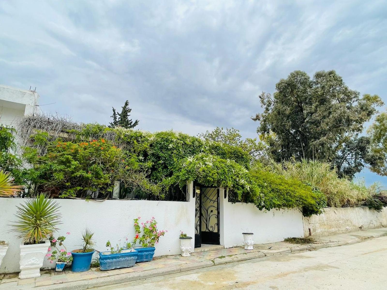 Casa Zitouna - Guest House - Kef, Tunisia El Kef Exterior photo